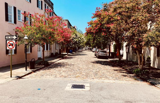 Travel Curious: Charleston Highlights - Private Walking Tour - Foto 6